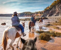 Unique coastal experiences in Nova Scotia