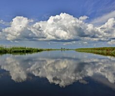 Messing about in boats… a safari with a difference