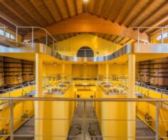 This is a test post – please ignore