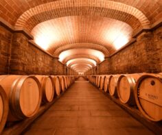 Top 13 design wineries in Tuscany: A fusion of art and taste