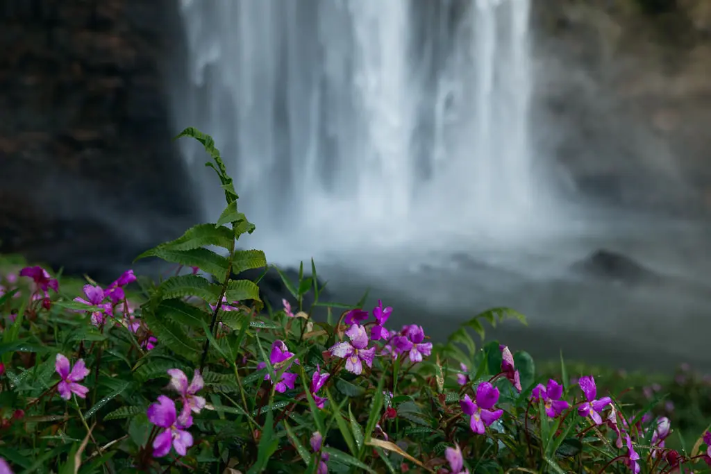 Exploring the Bolaven Plateau (With Laos’ Most Epic Waterfalls)