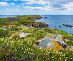 Why Ireland should be your next Summer destination