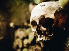 The Catacombs of Paris: History and Tips for Visiting