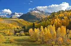 Essential Gear for Camping in Colorado