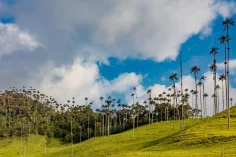 Colombia Ecotourism: 7 Amazing Nature Experiences