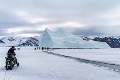 At the Edge of the World: A Floe Edge Safari on Baffin Island