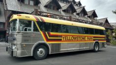 5 Tips for Yellowstone with Kids