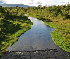 The Ecuadorian Amazon: A paradise in South America, and activities you must do there