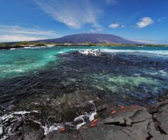 The 7 most stunning places to take photos in Galapagos