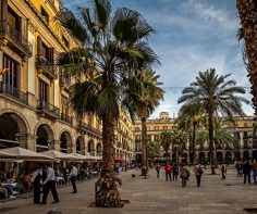 5 must-see neighbourhoods in Barcelona