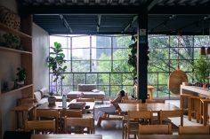 Best Hostels In Mexico City: 9 Top Picks