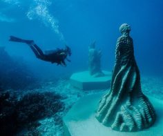 World-leading marine scientists unite for World Oceans Day in Townsville, Australia