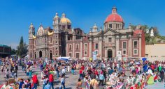 1 Week in Mexico City Itinerary