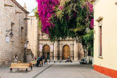 Morelia, Mexico: Why Visit + Best Things To Do