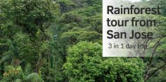 Rainforest Tour From San Jose, Costa Rica (Day Trip)