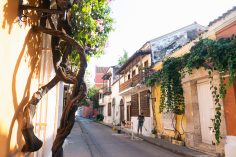 The 15 Best Things To Do In Cartagena (With Travel Tips)