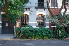 Where To Stay In Mexico City — Best Areas, Tips & Impressions