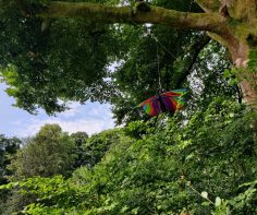 Serpentine Woods Alphabet Trail – for younger visitors to Kendal