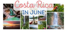 What is Costa Rica in June Like?