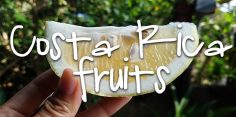 Yummy Tropical Fruits in Costa Rica