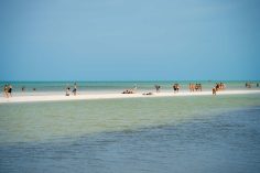 Tips for Visiting Isla Holbox, Mexico: 18 Things to Know Before You Go