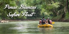 Peñas Blancas Safari Float: Easy Wildlife Watching from La Fortuna