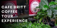 Cafe Britt Coffee Tour: An Entertaining Costa Rican Coffee Experience