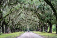 15+ Spooky Travel Tales From Around the World