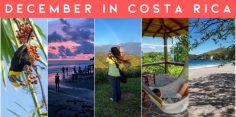 Costa Rica in December: Enjoy Christmas in the Tropics