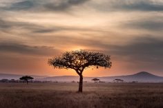 The Best Things to Do in Tanzania for Adventurers