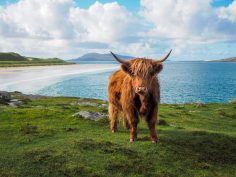 Is the Isle of Lewis and Harris Scotland’s Best-Kept Secret? (Things to Do + Why to Visit)