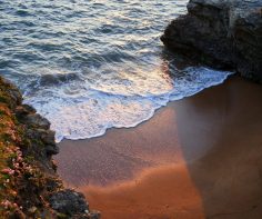 Vendée: A little-known paradise on the French Atlantic coast