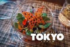 25 Restaurants to Visit for Terrific Food in Tokyo