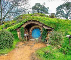 Experience New Zealand’s artistic soul