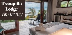 Tranquilo Lodge: Modern Luxury in the Rainforests of Drake Bay