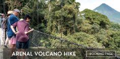 Arenal Hanging Bridges