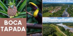 Boca Tapada: Magnificent Wildlife and Birding Sanctuary Hidden in a Rural Village