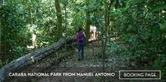 Carara National Park Tour From Manuel Antonio