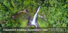 Children’s Eternal Rainforest Hike