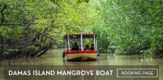 Damas Island Mangrove Boat Tour