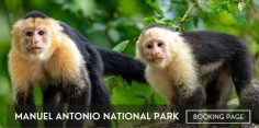 Manuel Antonio National Park Tour