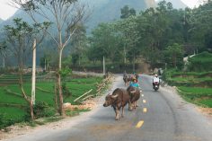 An Alternative Vietnam Itinerary (For Return Visitors Or Offbeat Adventurers)