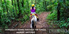 Manuel Antonio Horseback Riding Through the Jungle Tour