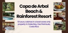 Copa de Arbol Beach and Rainforest Resort: Modern Eco-Luxury in Drake Bay