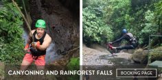 Pure Trek Canyoning and Rainforest Falls