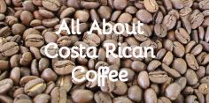 Costa Rican Coffee: Coffee Tours and Best Brands to Buy