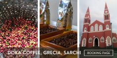 Doka Coffee, Grecia, Sarchí, Oxcart Factories Tour