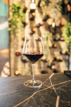 Wine Tasting Zadar & The Top 10 Wineries In Zadar