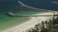 One Day Outside The City That Changed Local Perspective