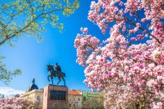 How Many Days in Zagreb Is Enough? (With Itinerary Ideas)